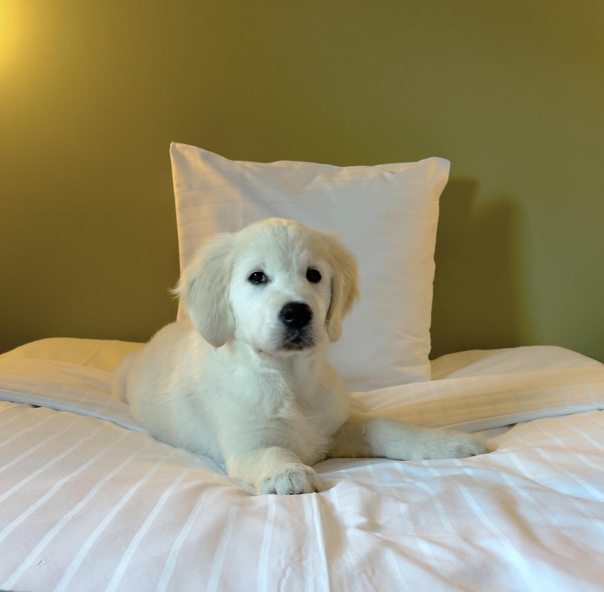 Good Morning Lund Hotel Екстериор снимка